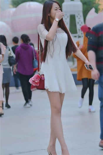 喵部落怎么进不去了