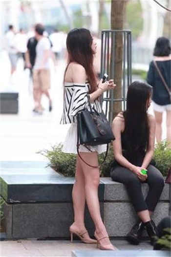 枫叶app下载链接