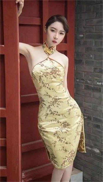 龙腾小说校园公交