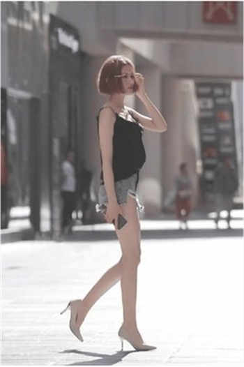 言律师的小娇妻晋江