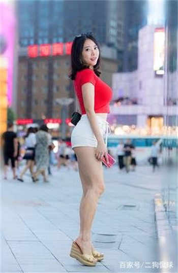 四叶草传媒每天免费一次