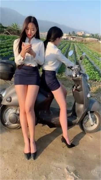 东京干罗马站水仙花