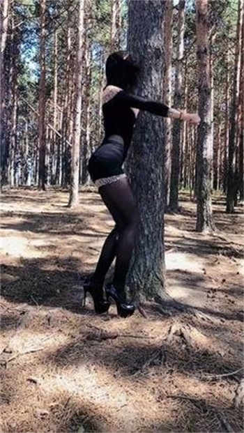 永久免费不收费的禁用软件